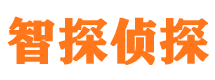 苍溪外遇出轨调查取证